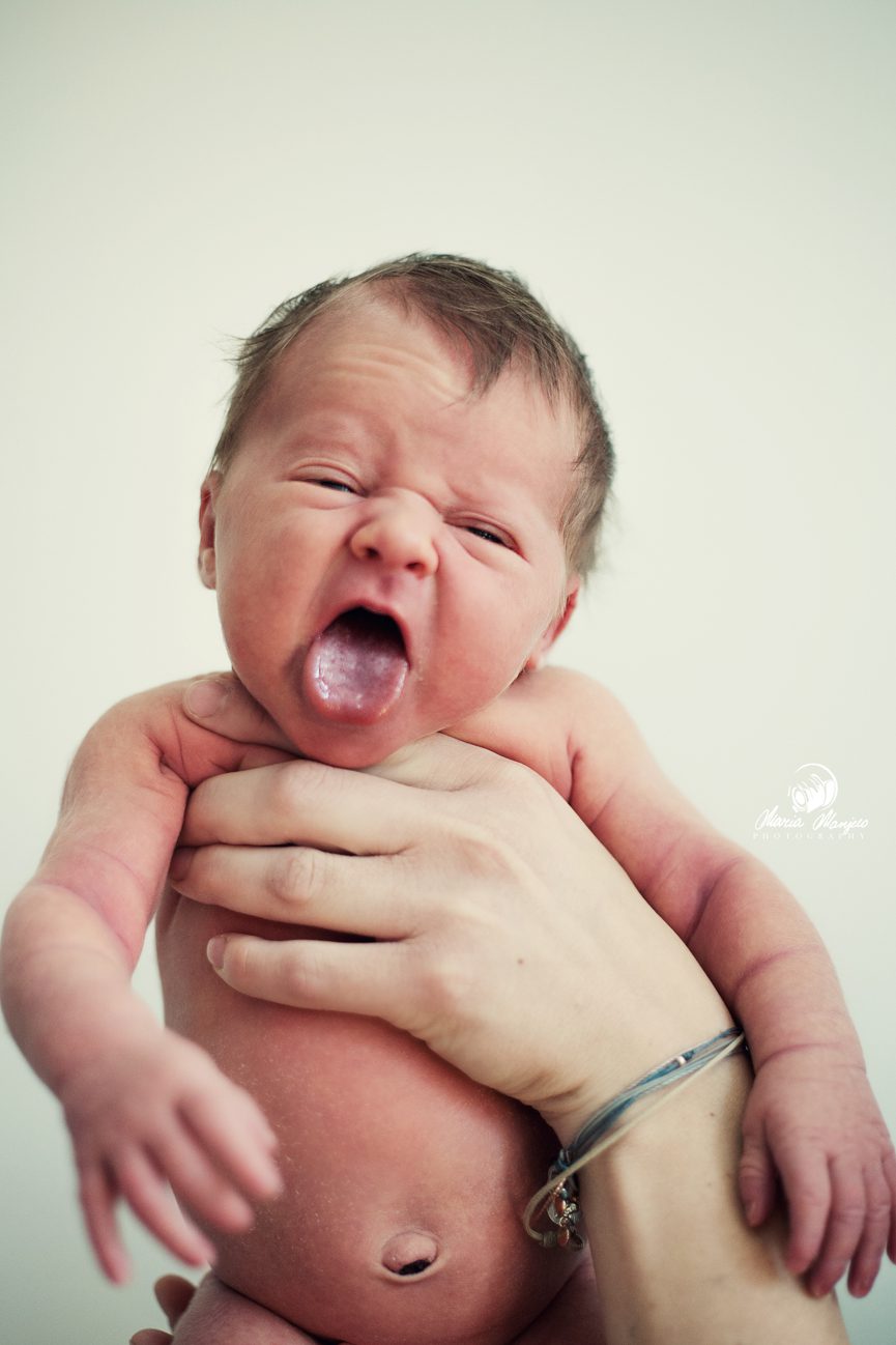 Family Portrait Photographer